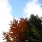 IMG_2414a.jpg