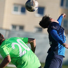 DSC03986aa.jpg
