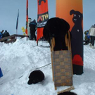 723198.jpg