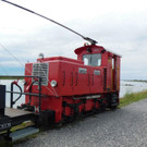 DSCI4256.JPG