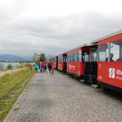 DSCI4457.JPG