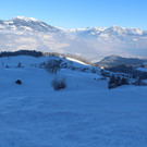 IMG_2230.JPG