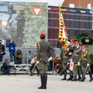 Oesterreichischer Nationalfeiertag 2020-53.JPG