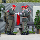 Oesterreichischer Nationalfeiertag 2020-80.JPG