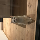 80252A20-8F09-4002-8B89-F3379E8FF399.jpeg
