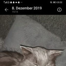 Screenshot_20201028_205225_com_android_gallery3d.jpg