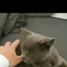 Screenshot_20201028_205039_com_huawei_himovie_overseas.jpg