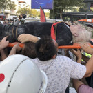 Turkey_Earthquake_49435.jpg