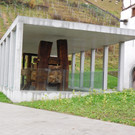 DSCI5356.JPG