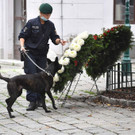 AFP_8UF94P.jpg