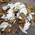 ABD0175-20201103.jpg