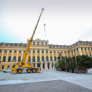 Baum-Ankunft __ FOTOFALLY.jpg