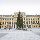 Christbaum als Friedenssymbol __ FOTOFALLY.jpg