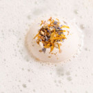 winter_garden_bath_bomb_christmas_hero_image_2020-2.jpg