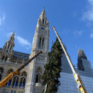 ABD0091-20201105.jpg