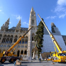 ABD0092-20201105.jpg
