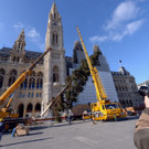 ABD0103-20201105.jpg