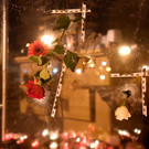 ABD0158-20201105.jpg