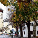 c_Scopoli_Schruns_Muenster_0214.jpg