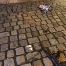 p5081120-Foto3.jpg