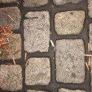 p5081120-Foto4.jpg