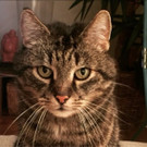 sydy3.jpg