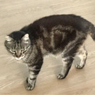 sydy1.jpg