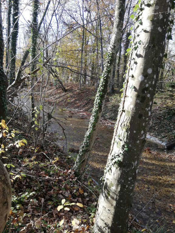 IMG_20201109_104856.jpg