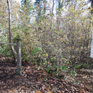IMG_20201109_104930.jpg