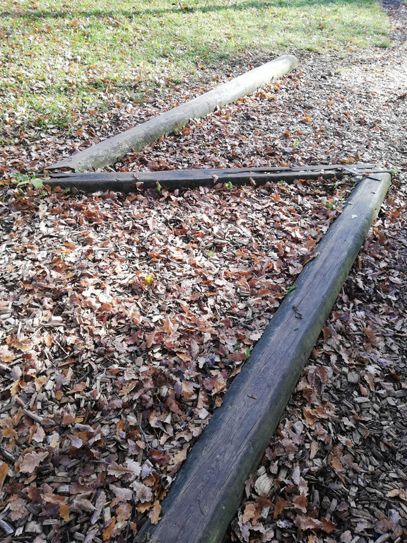 IMG_20201109_105010.jpg