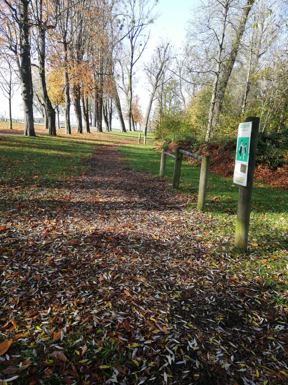 IMG_20201109_104337.jpg