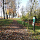 IMG_20201109_104337.jpg