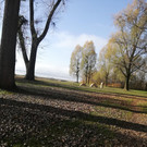 IMG_20201109_104548.jpg