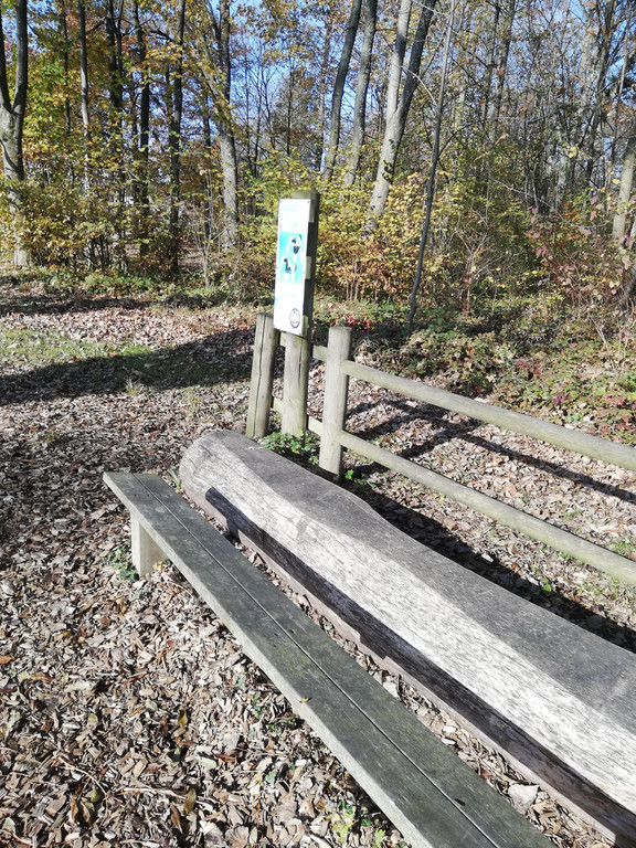 IMG_20201109_104555.jpg