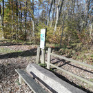 IMG_20201109_104555.jpg
