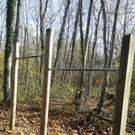 IMG_20201109_104814.jpg