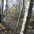IMG_20201109_104856.jpg