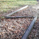 IMG_20201109_105010.jpg