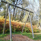 IMG_20201109_105233.jpg
