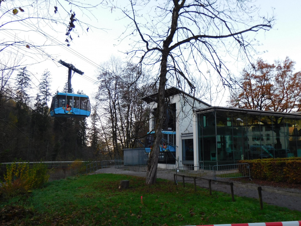 DSCI5394.JPG