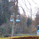 DSCI5395.JPG