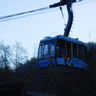 DSCI5398.JPG