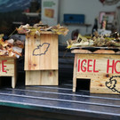 MUT_Obdach fu__r Igel und Flederma__use.jpg