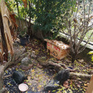 MUT_Obdach fu__r Igel und Flederma__use6.jpg