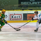 file7d78gg90o8ie1uy95w9 - Kopie.jpg
