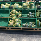 image00016.jpeg