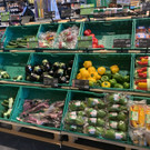 image00013.jpeg