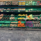image00014.jpeg