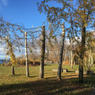 IMG_5905.JPG