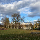 IMG_5934.JPG